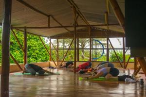 Majutusasutuse Essence Arenal Spa & Yoga külastajad