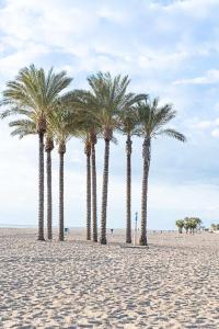 eine Reihe von Palmen an einem Sandstrand in der Unterkunft Casa Playa Bonita Primera linea de playa in Roquetas de Mar