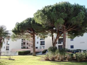dos árboles en un parque frente a un edificio en Appartement Le Grau-du-Roi, 3 pièces, 6 personnes - FR-1-307-135, en Le Grau-du-Roi