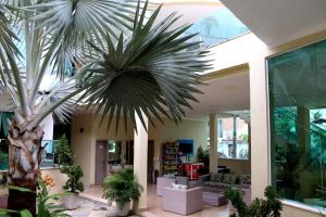 uma palmeira no meio de um lobby em Star Hotel em Jericoacoara