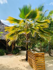 a palm tree on the beach next to a building at Embe Lodge in Kizimkazi