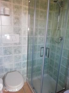 La salle de bains est pourvue de toilettes et d'une douche en verre. dans l'établissement Villa Biancofiore, à San Giovanni Rotondo
