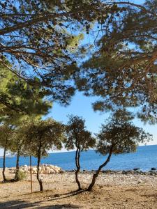 Paesaggio naturale nelle vicinanze dell'appartamento