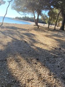 Paesaggio naturale nelle vicinanze dell'appartamento