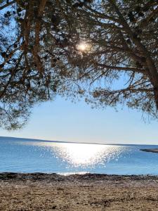 Paesaggio naturale nelle vicinanze dell'appartamento
