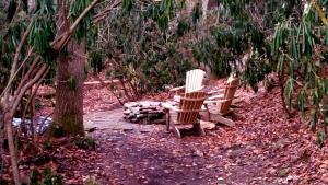 two rocking chairs sitting next to a tree at Big Timber Creek Cabin in Sugar Grove