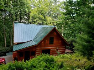 een houten hut met een metalen dak bij Big Timber Creek Cabin in Sugar Grove