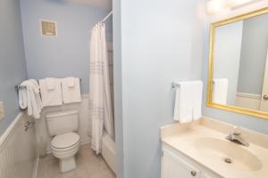 a bathroom with a toilet and a sink and a mirror at Condo at Pinnacle Inn Resort in Beech Mountain