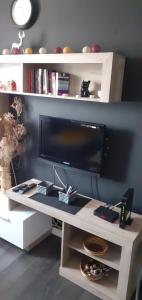 A television and/or entertainment centre at Apartman Mici