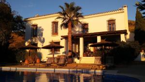 una casa con una palmera y una piscina en B&B Casa Domingo en Alora