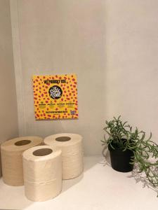 tres rollos de papel higiénico en un mostrador con una planta en Studio Delfien, en Oostduinkerke