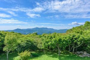 a forest of trees with mountains in the background at Elderberry Escape in Beech Mountain