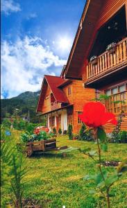 a wooden house with a red roof and a red flower at La Cabaña de Mari in Oxapampa