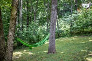a green hammock hanging between two trees in a forest at Hidden Hawk in Seven Devils