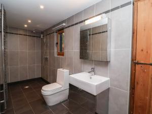 a bathroom with a white toilet and a sink at Owl Cottage in Woodbridge +17 photos