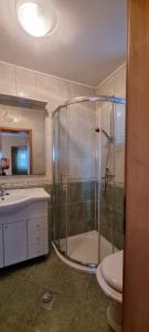 a bathroom with a shower and a toilet and a sink at Apartman "Cvita" in Drage