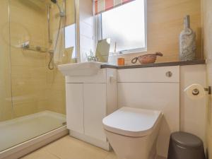 een badkamer met een toilet, een wastafel en een douche bij Blue Neptune in Lyme Regis