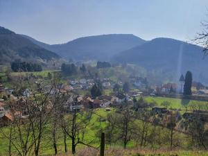 una pequeña ciudad en un campo con montañas en el fondo en Max, en Dernbach
