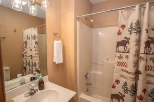un bagno con lavandino e tenda da doccia di Mountain Skye Lodge a Banner Elk Altre 42 foto