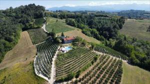 Ferrarotti في Clavesana: اطلالة جوية على بيت مزرعة على مزارع العنب