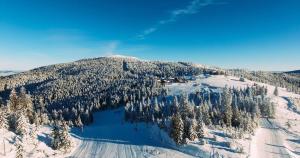 an aerial view of a mountain with snow and trees at 4 Seasons - House in Sub Cetate