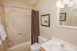 un bagno con lavandino, WC e doccia di Yonahlossee Getaway a Boone Altre 3 foto