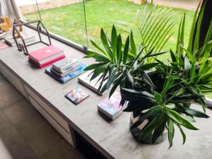 a table with books and plants on it at Casa Azul Hibisco - Geriba Buzios in Búzios