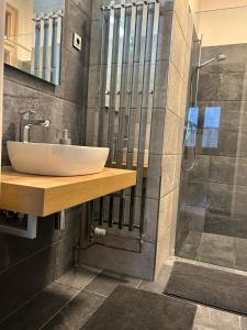 łazienka z umywalką i prysznicem w obiekcie Apartment Petrska w Pradze +37 zdjęć
