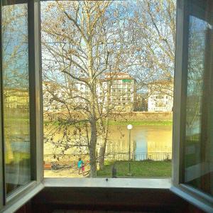 una ventana abierta con vistas a un árbol en Mia Palace, en Florencia