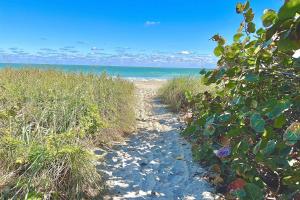 a path through the sand on a beach at Jensen Surf Shack in Jensen Beach
