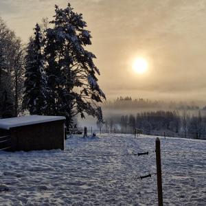 ein schneebedecktes Feld mit einem Baum und der Sonne am Himmel in der Unterkunft Huumoriharju in Karkkila