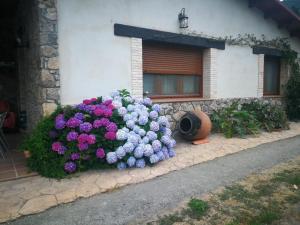 Zahrada ubytování casa rural La picotina