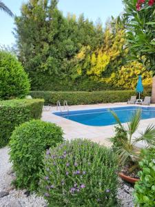 une piscine dans un jardin avec des buissons et des fleurs dans l'établissement Coral Bay Beachfront Paradise Villa Private Pool, à Coral Bay