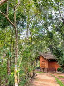 a small house in the middle of a forest at Walawa Dreams Safari Resort in Udawalawe