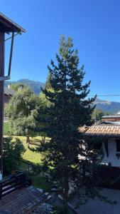 a pine tree in a yard next to a building at Romy appartement centre village in Megève