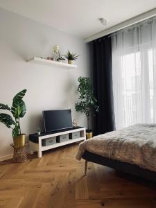 una camera con letto e TV su un armadio di Wileńska Home apartment 1 a Varsavia