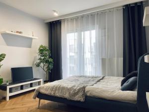 a bedroom with a bed and a tv and a window at Wileńska Home apartment 1 in Warsaw