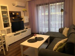 Et opholdsområde på Purple Rose Apartment Valencia Gardens