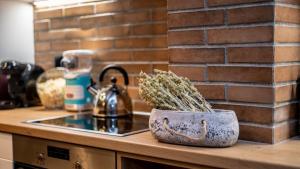 Η κουζίνα ή μικρή κουζίνα στο Εν Ιωαννίνοις Loft 1