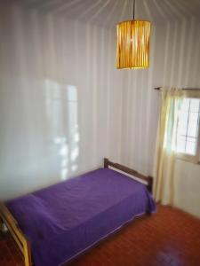 1 dormitorio con cama morada y ventana en Casa con pileta - El PATIO DE BUDA en San Pedro
