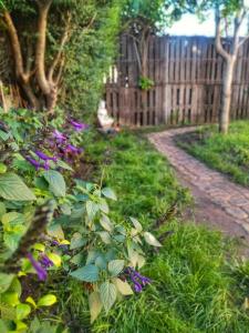 un jardín con flores púrpuras junto a una valla en Casa con pileta - El PATIO DE BUDA en San Pedro