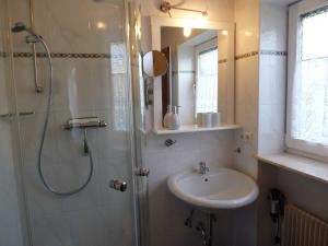 a bathroom with a shower and a sink and a shower at Pension Am Limespfad in Hesseneck