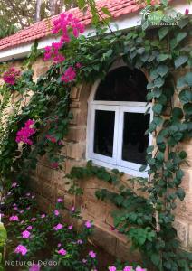 a window in a brick building with pink flowers at Dreamland by Nature's Abode® Villas in Ahmedabad
