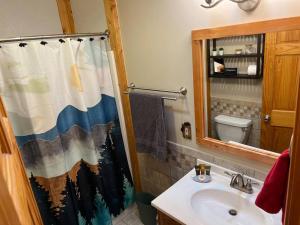 a bathroom with a sink and a shower curtain at Wonderful cabin tucked in the woods /w Hot tub in Mountain City