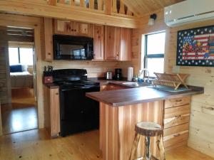 uma cozinha com um fogão preto e um micro-ondas em Two Rivers Cabins - The Mountaintop em Brevard