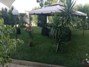 une cour avec deux palmiers et un parasol dans l'établissement Villa Rosa B&B Room Vesuvio, à SantʼAntonio Abate