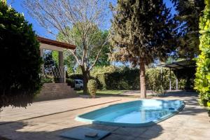 a small swimming pool in a yard at Roque 4047 in San Juan