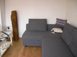 a couch in a living room with a dog laying on it at Haus Ellbogen in Momlingen +8 photos