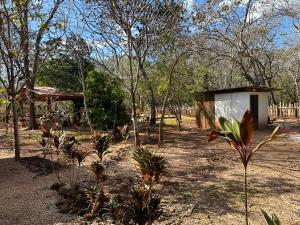 un jardin avec un petit bâtiment et des arbres dans l'établissement Finca Avellanas, à Playa Avellana