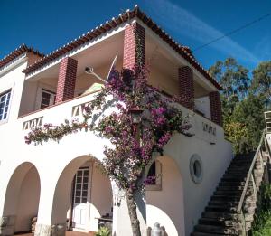ein weißes Haus mit einem Baum davor in der Unterkunft Casa na Floresta in Figueira da Foz